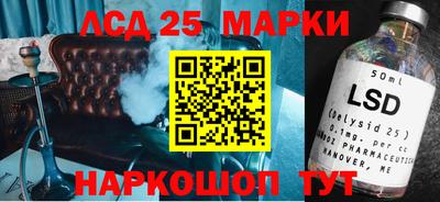 гашик Кандалакша