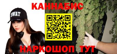 гашик Кандалакша