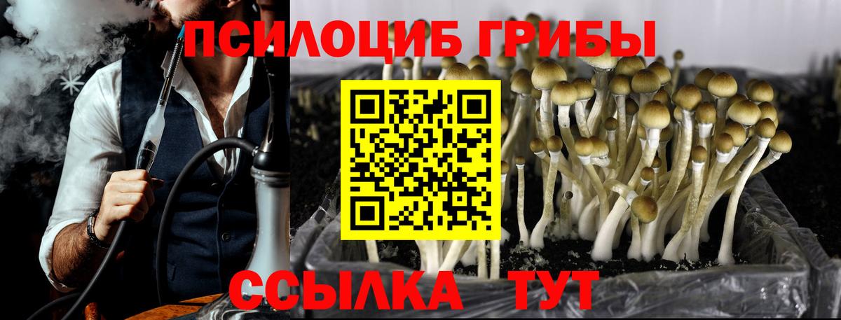 Галлюциногенные грибы Magic Shrooms  Вход с VPN  Кстово 